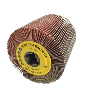 Ściernica walcowa listkowa  z płótna 100x100x19mm Satyniarka