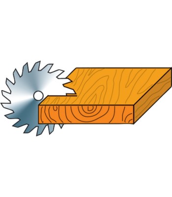 HM-Tarcza tnąca Ø 250 Z24 - www.toolsbook.eu