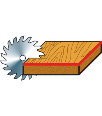 HM-Tarcza tnąca Ø 250 Z42 - www.toolsbook.eu