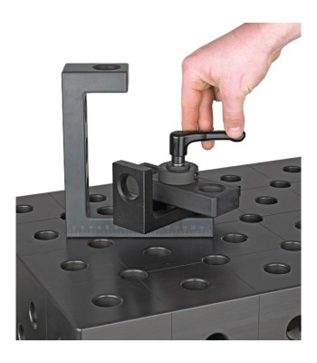Śruba mocująca Vario z dźwignią Ø 28 mm - www.toolsbook.eu