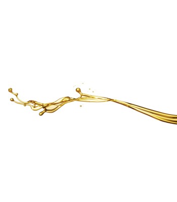Olej do sprężarek śrubowych LCG68 - www.toolsbook.eu