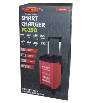 Mikroprocesorowy prostownik do akumulatorów samochodowych z funkcją rozruchu 12V/24V 250A FC-250 HOT (807/F) - www.toolsbook.eu