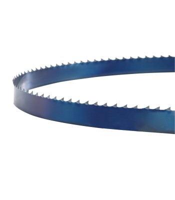 Piła taśmowa 2950x25x0,5mm 4 ZpZ do HOLZSTAR HBS 405 - toolsbook.eu