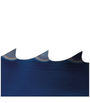 Piła taśmowa 2950x25x0,5mm 4 ZpZ do HOLZSTAR HBS 405 - toolsbook.eu